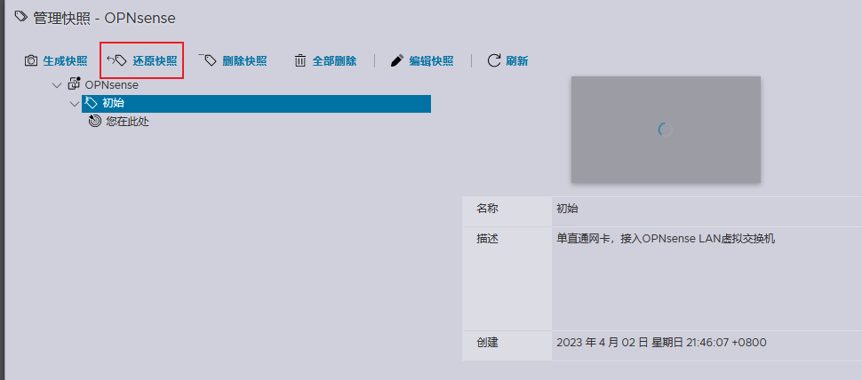 在ESXi中部署OPNsense开源防火墙-24